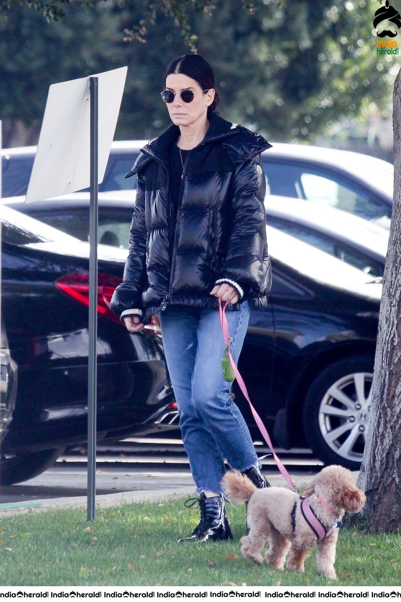 Sandra Bullock Takes her dog out for an afternoon walk in Van Nuys