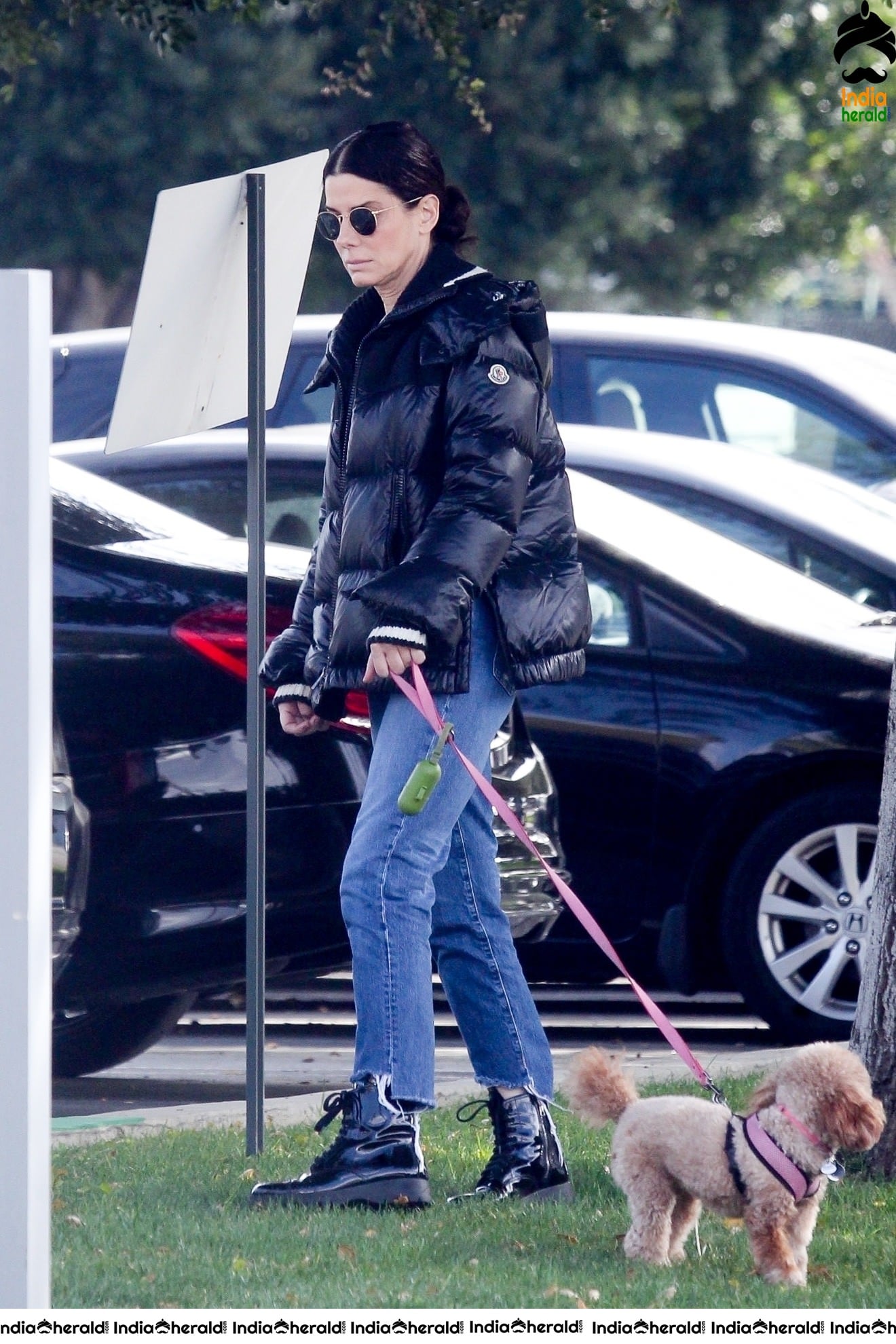 Sandra Bullock Takes her dog out for an afternoon walk in Van Nuys