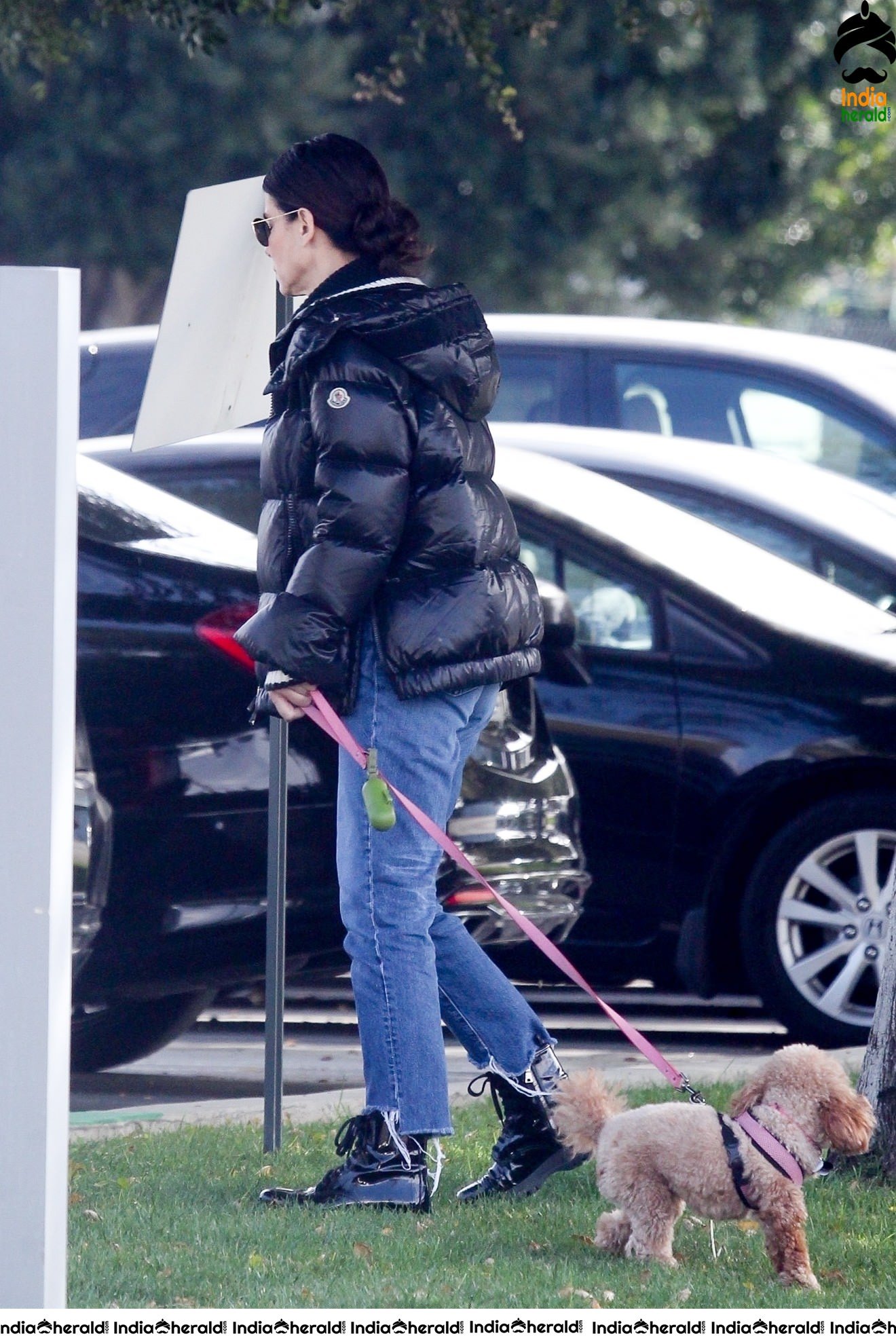 Sandra Bullock Takes her dog out for an afternoon walk in Van Nuys