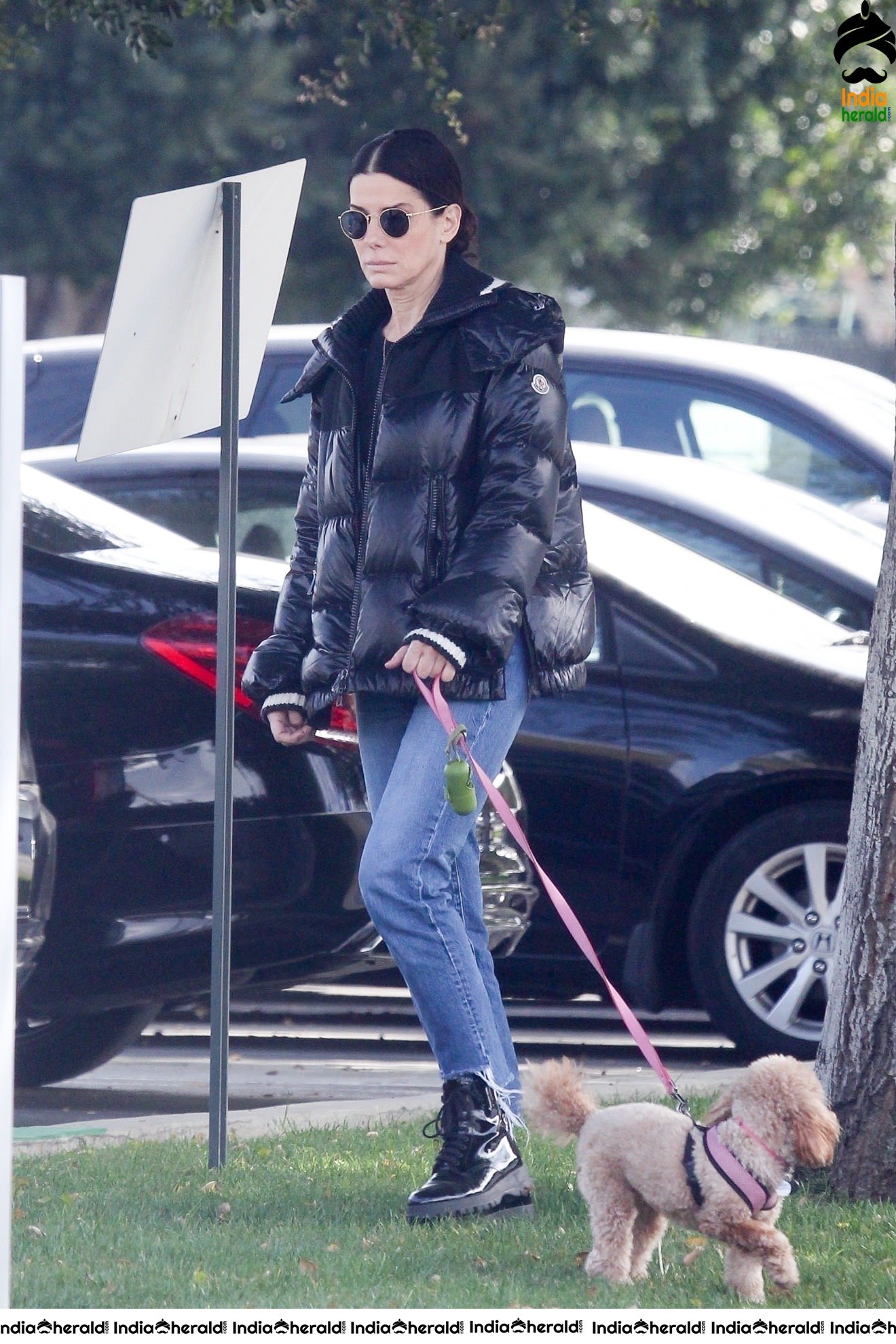 Sandra Bullock Takes her dog out for an afternoon walk in Van Nuys
