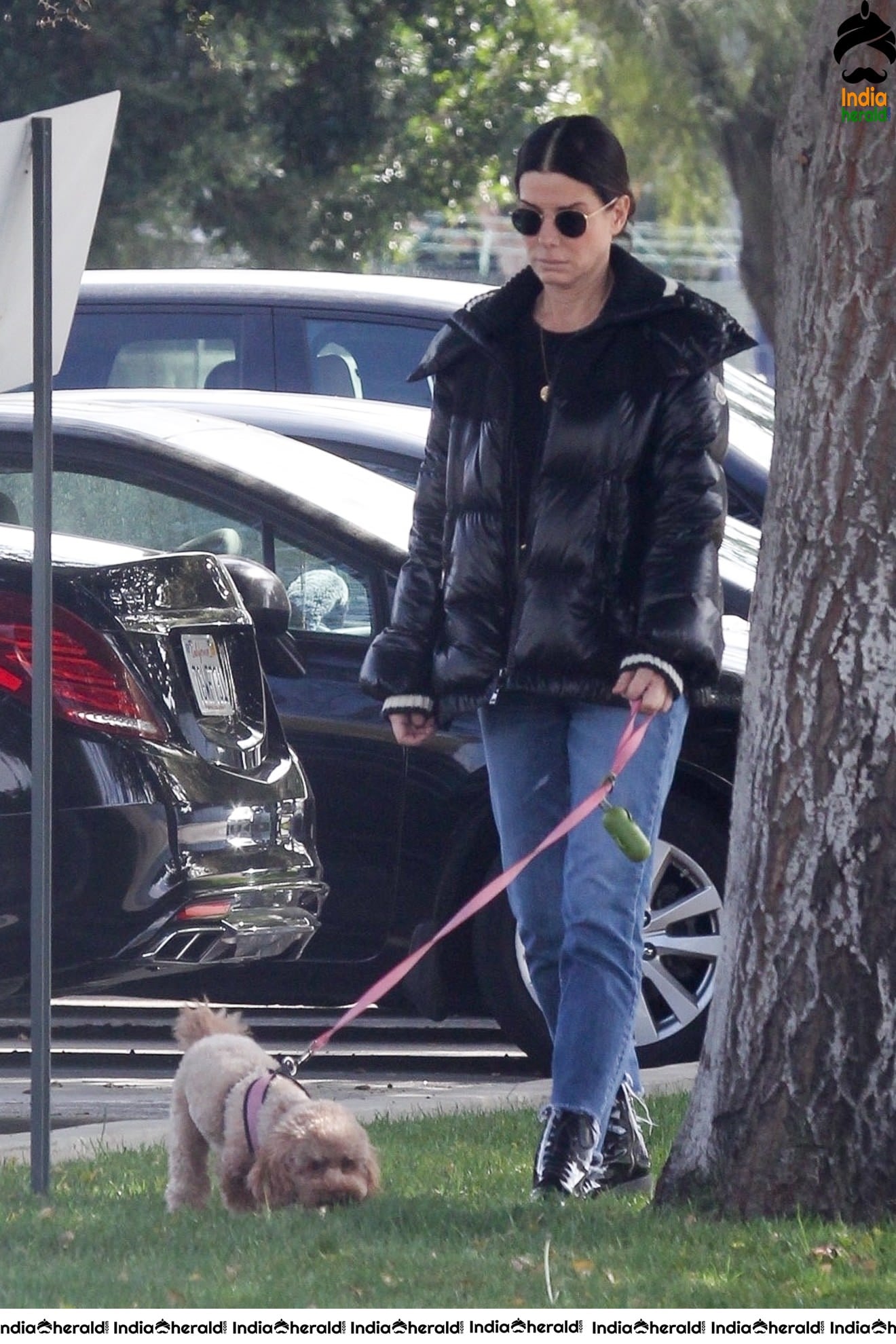 Sandra Bullock Takes her dog out for an afternoon walk in Van Nuys