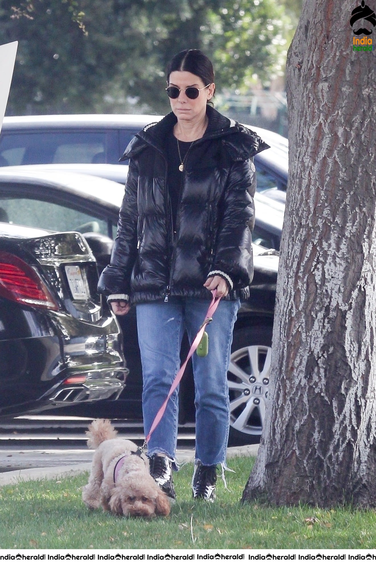 Sandra Bullock Takes her dog out for an afternoon walk in Van Nuys