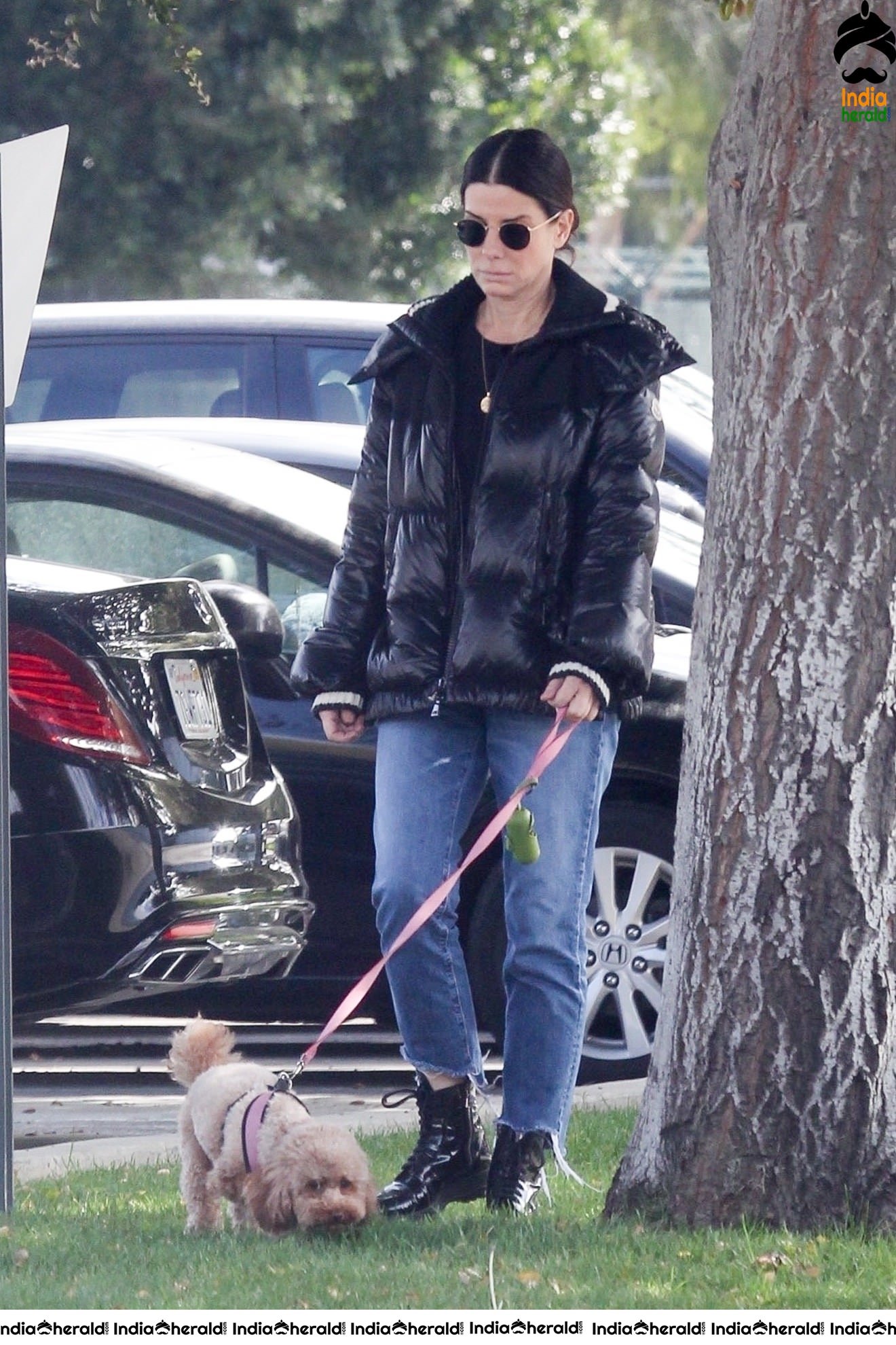 Sandra Bullock Takes her dog out for an afternoon walk in Van Nuys