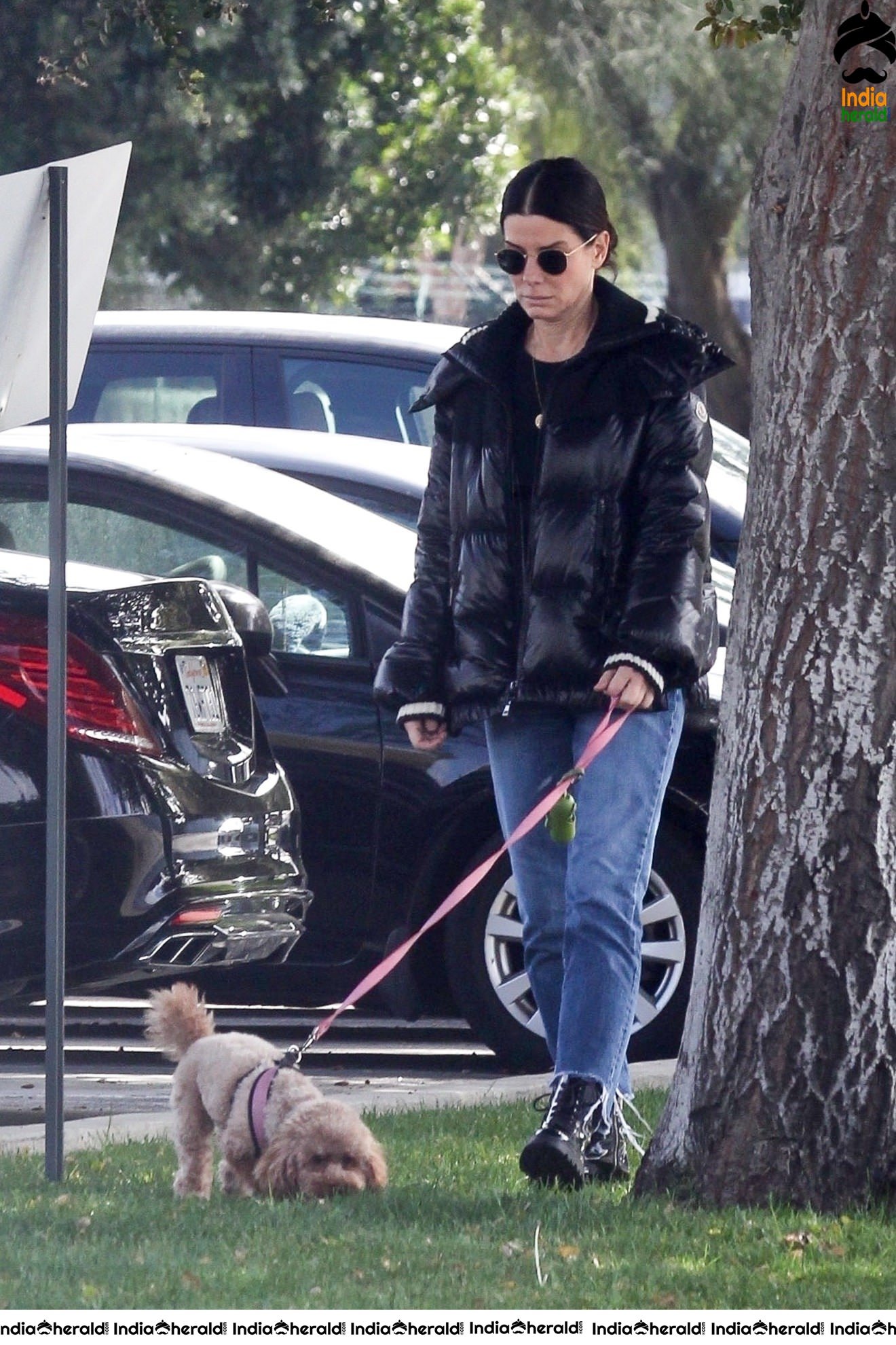 Sandra Bullock Takes her dog out for an afternoon walk in Van Nuys