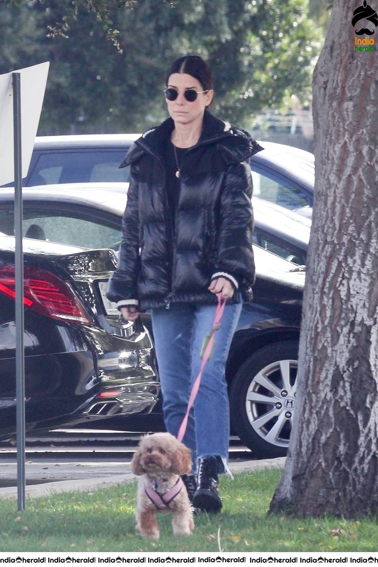 Sandra Bullock Takes her dog out for an afternoon walk in Van Nuys