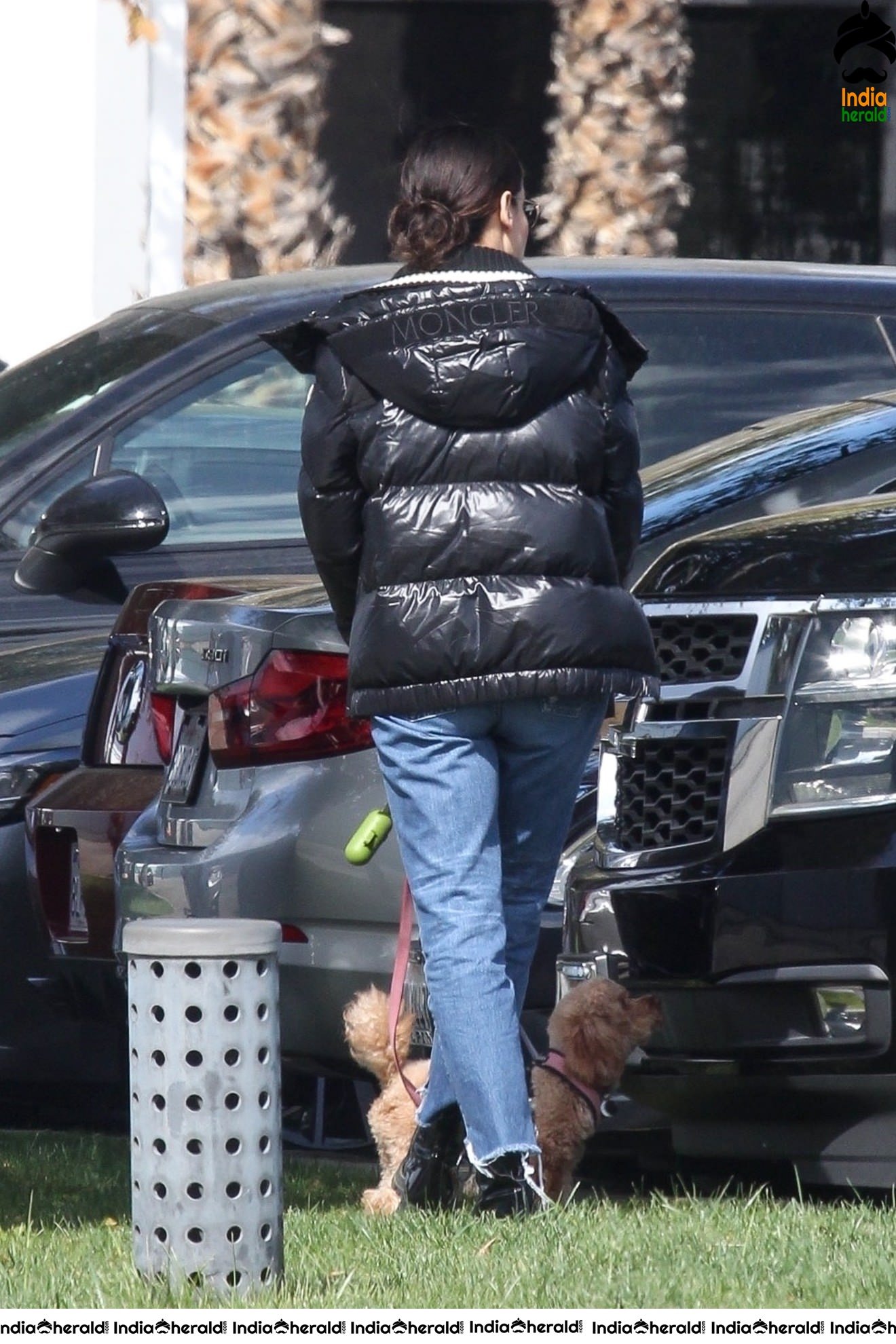 Sandra Bullock Takes her dog out for an afternoon walk in Van Nuys