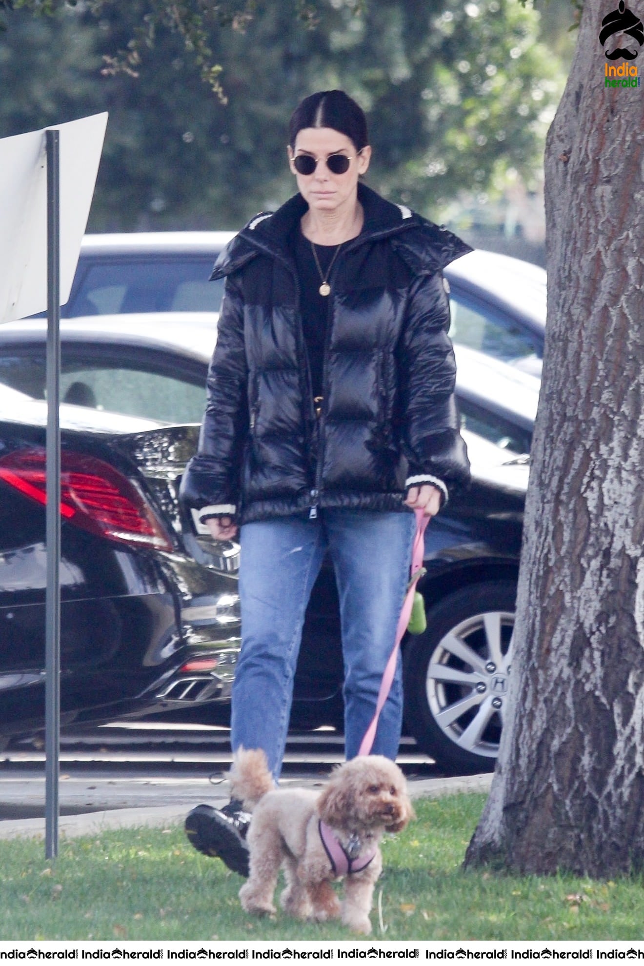 Sandra Bullock Takes her dog out for an afternoon walk in Van Nuys