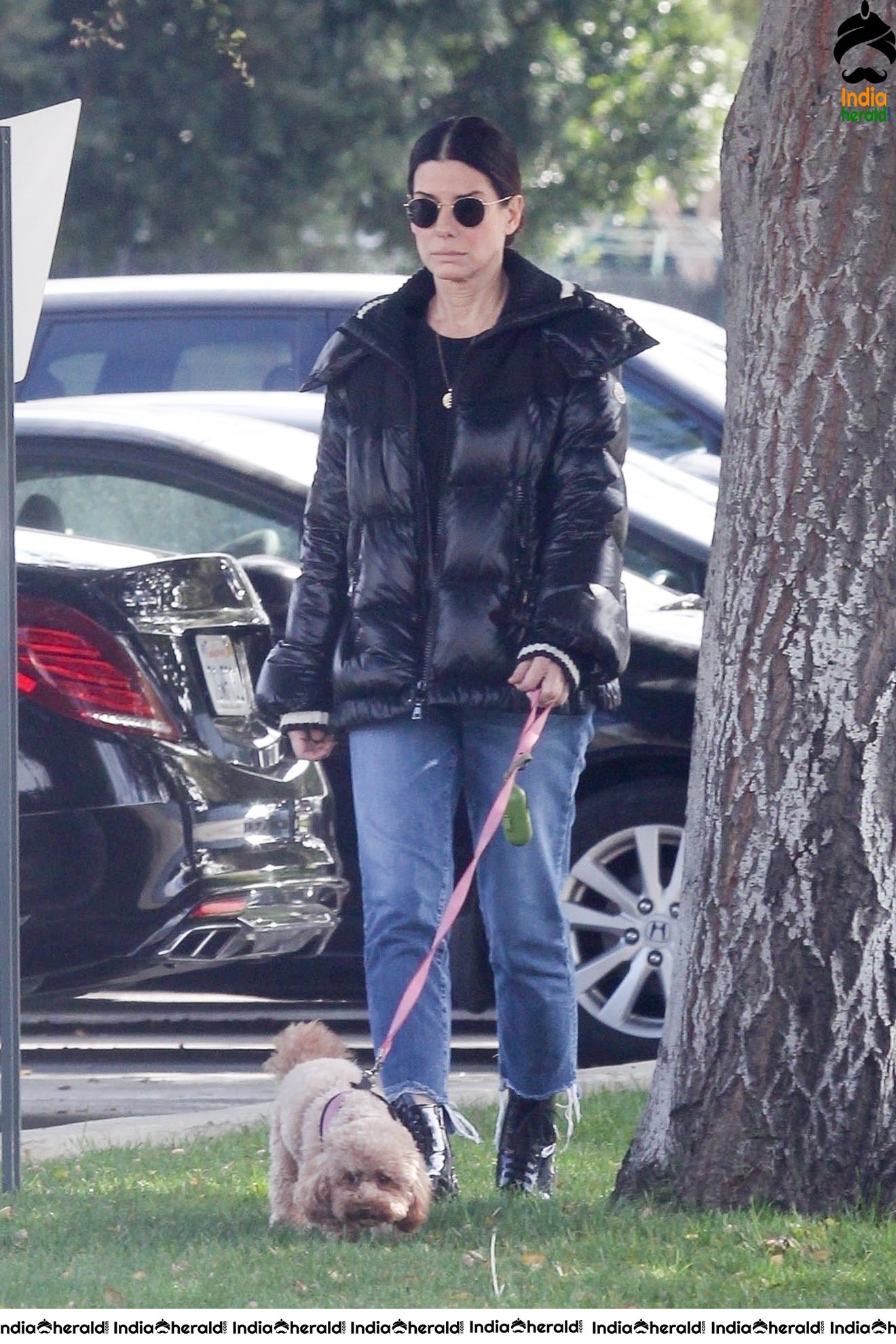 Sandra Bullock Takes her dog out for an afternoon walk in Van Nuys