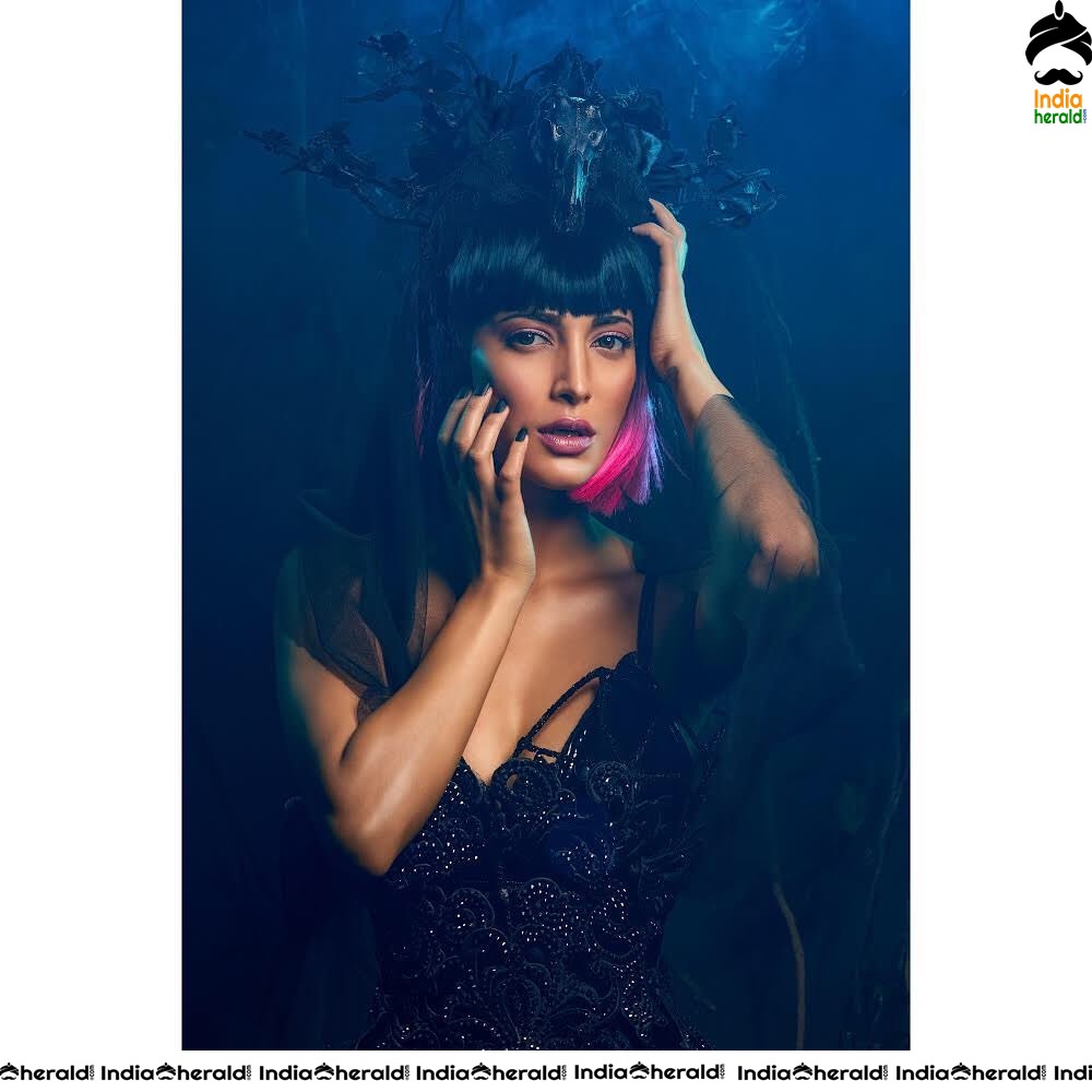 Seducing and Tempting Latest Hot Photos of Milky Sexy Babe Shruti Haasan Set 5