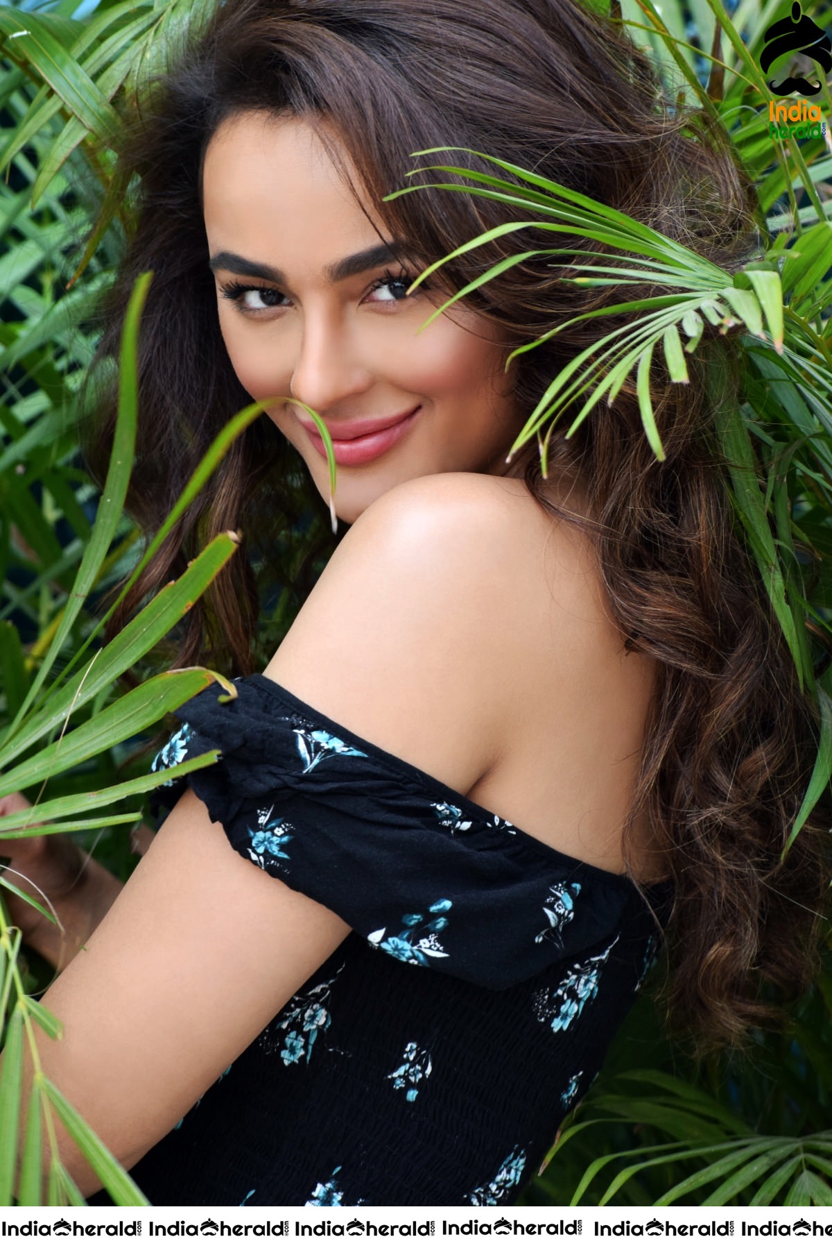 Seerat Kapoor Latest HD Hot Photoshoot Clicks