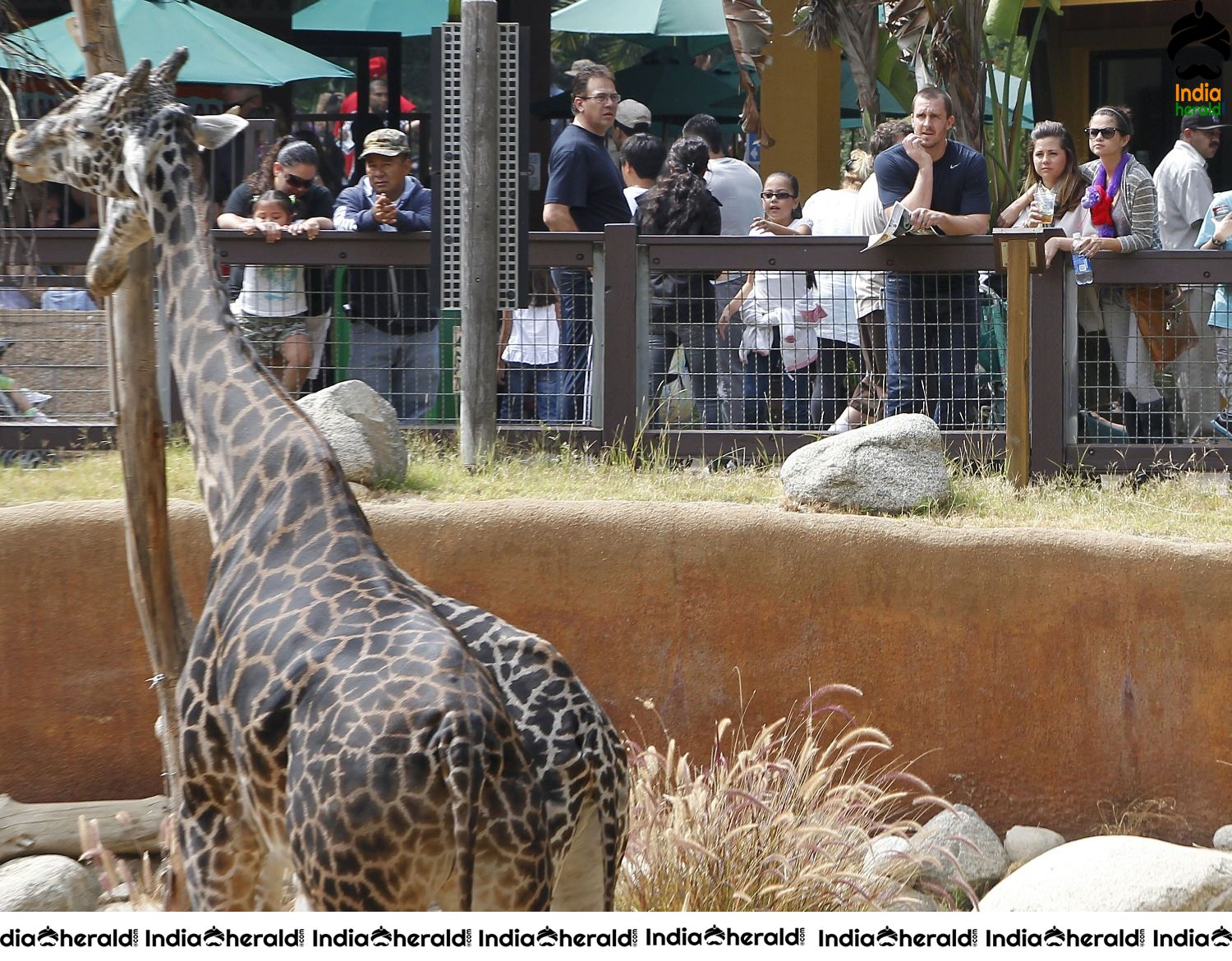 Selena Gomez Visits Los Angeles Zoo with her friends Set 2