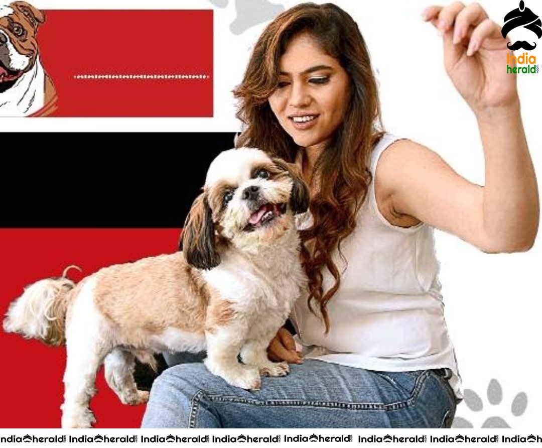 Sherin Latest Photos with her Pet Jaggar