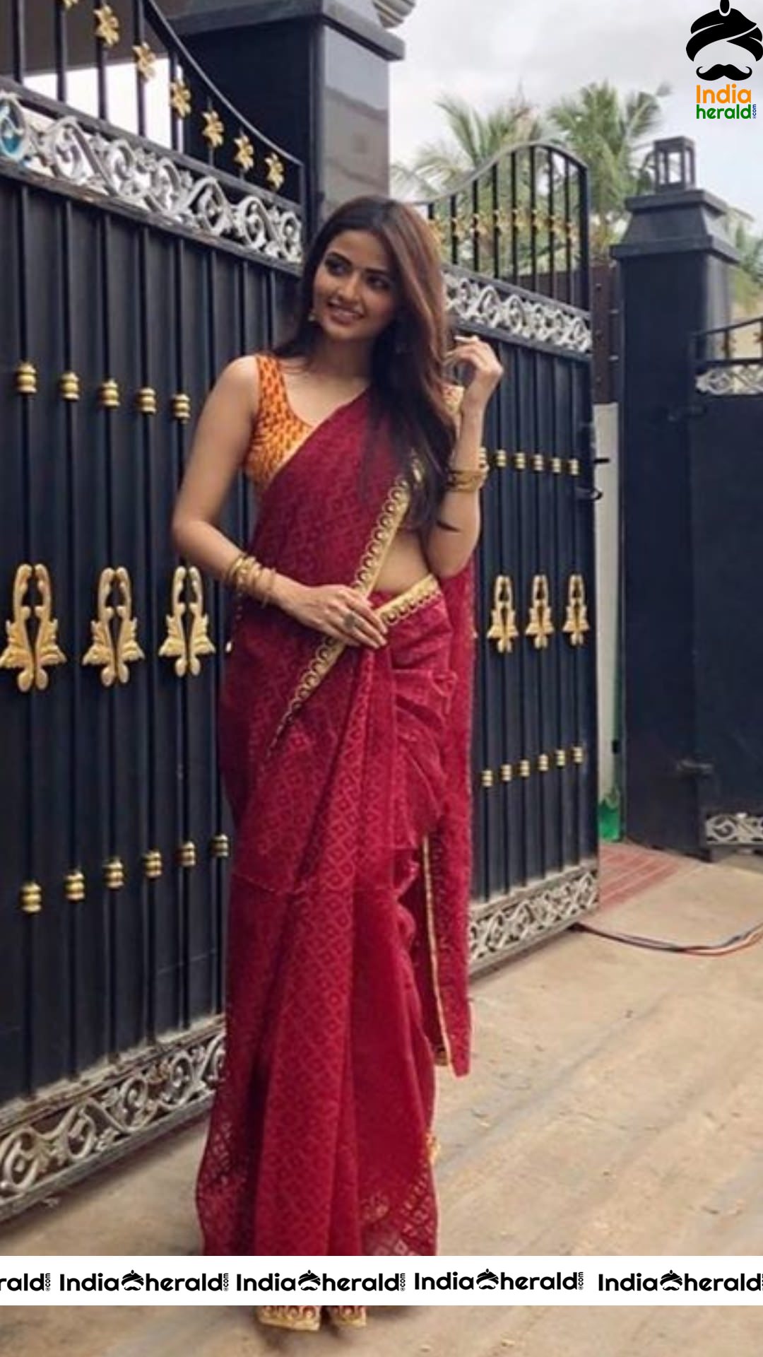 Shirin Kanchwala Hot Stills In Saree Set 2