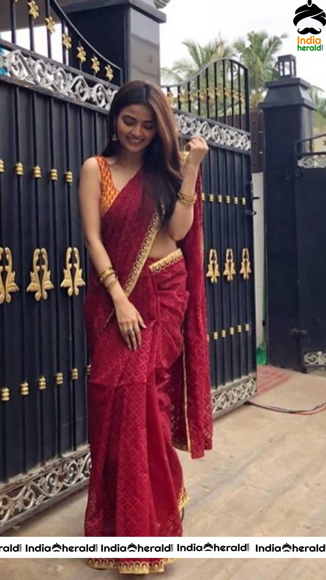 Shirin Kanchwala Hot Stills In Saree Set 2