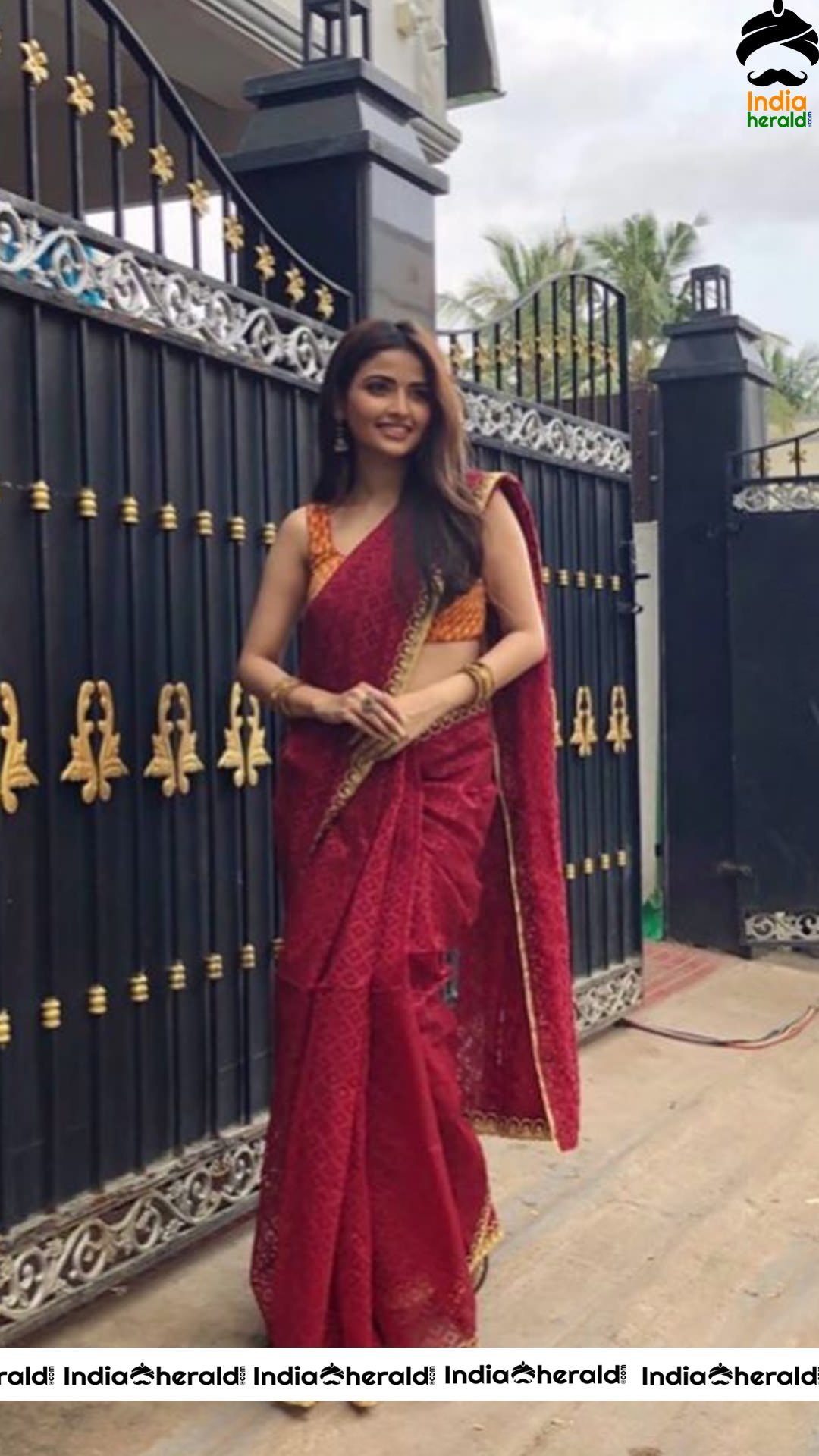 Shirin Kanchwala Hot Stills In Saree Set 2