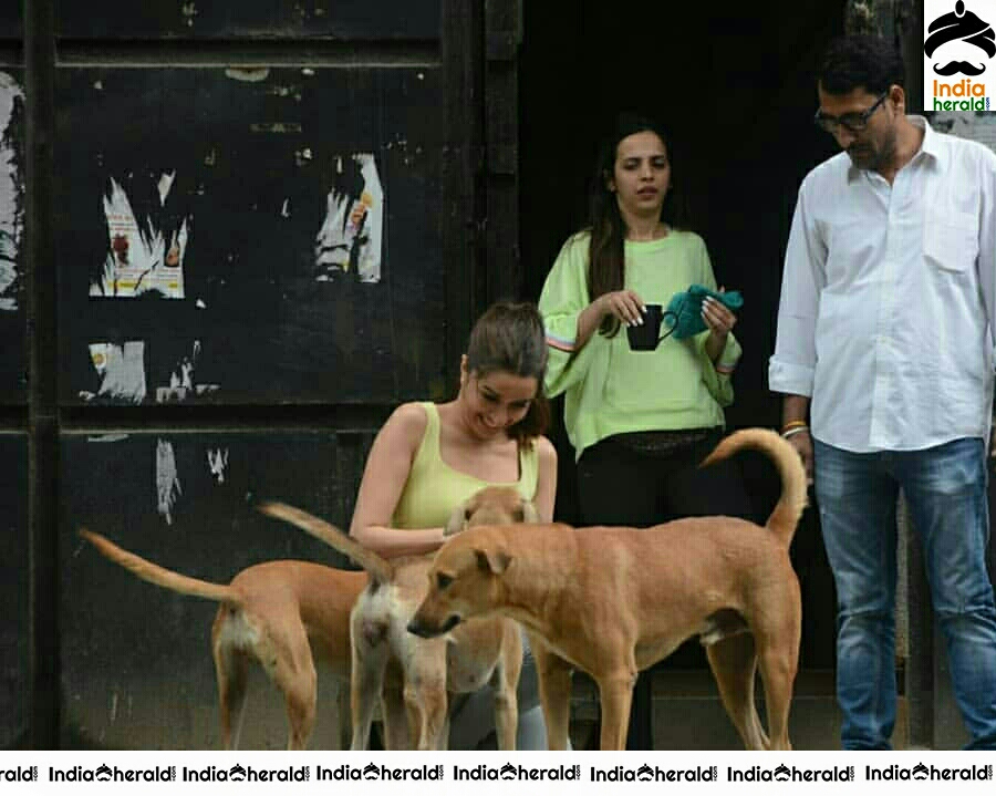 Shraddha Kapoor Playing With A Dog On The Streets Of Juhu