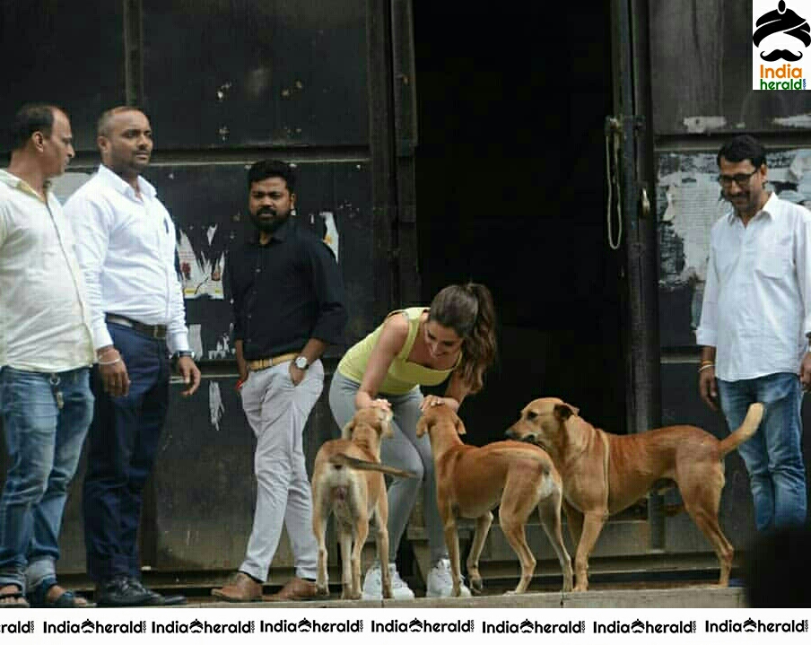Shraddha Kapoor Playing With A Dog On The Streets Of Juhu