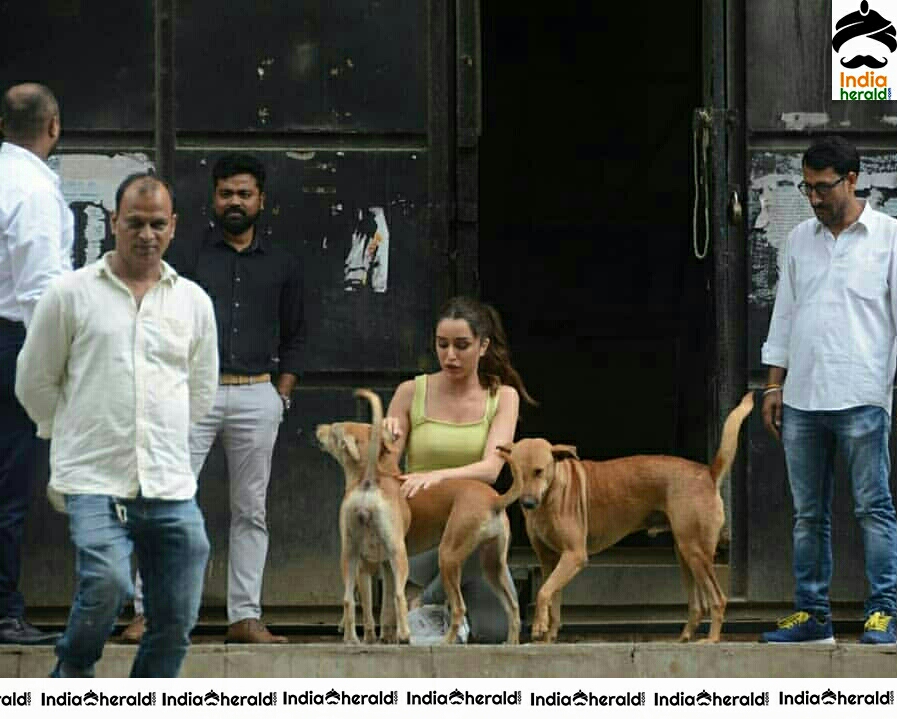 Shraddha Kapoor Playing With A Dog On The Streets Of Juhu