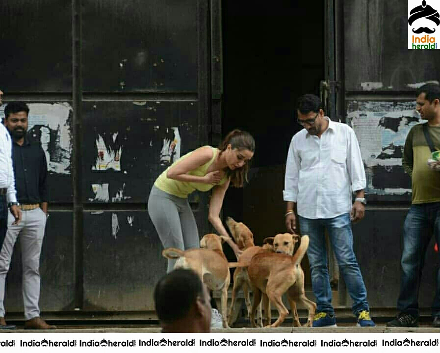 Shraddha Kapoor Playing With A Dog On The Streets Of Juhu