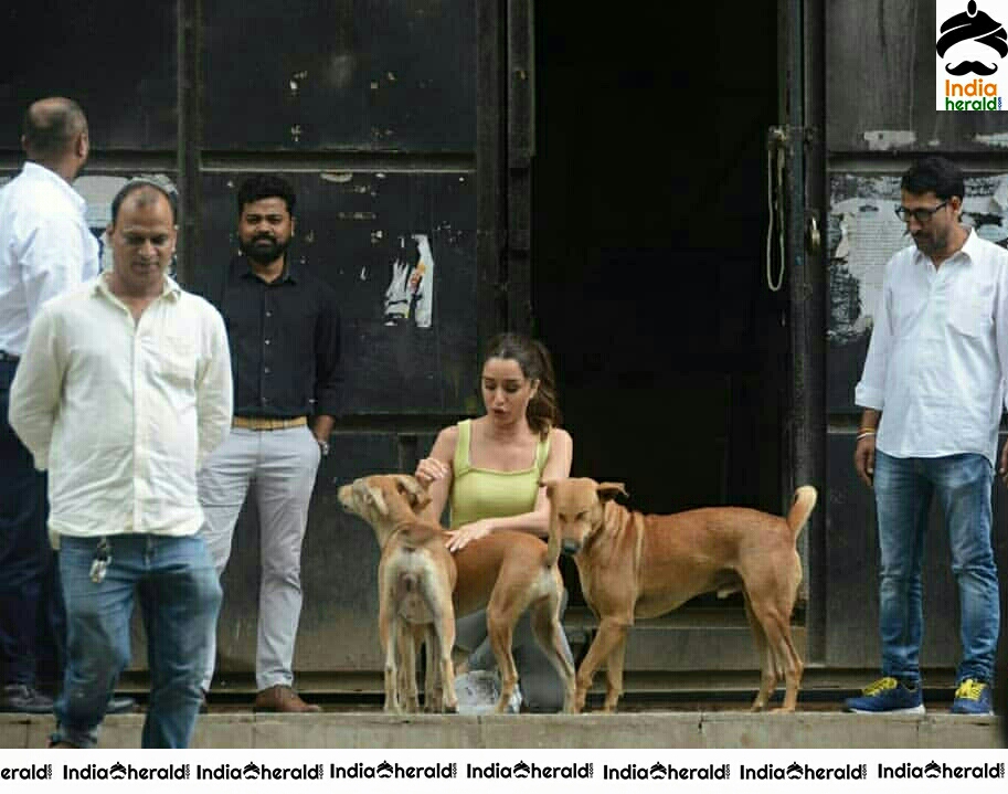 Shraddha Kapoor Playing With A Dog On The Streets Of Juhu