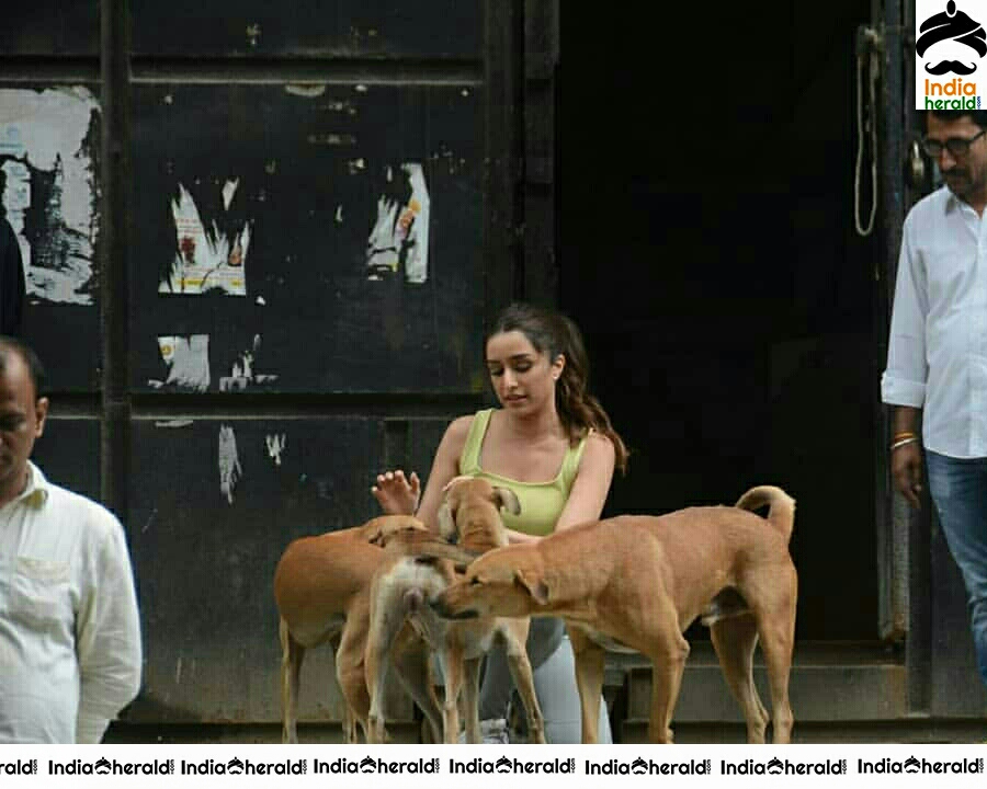 Shraddha Kapoor Playing With A Dog On The Streets Of Juhu