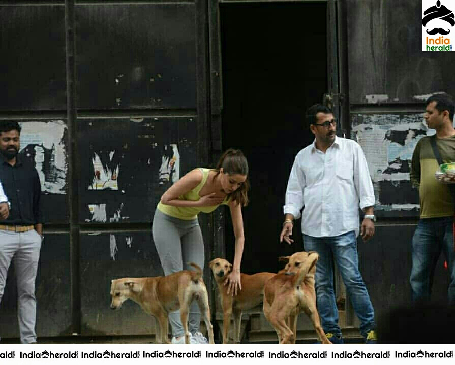 Shraddha Kapoor Playing With A Dog On The Streets Of Juhu