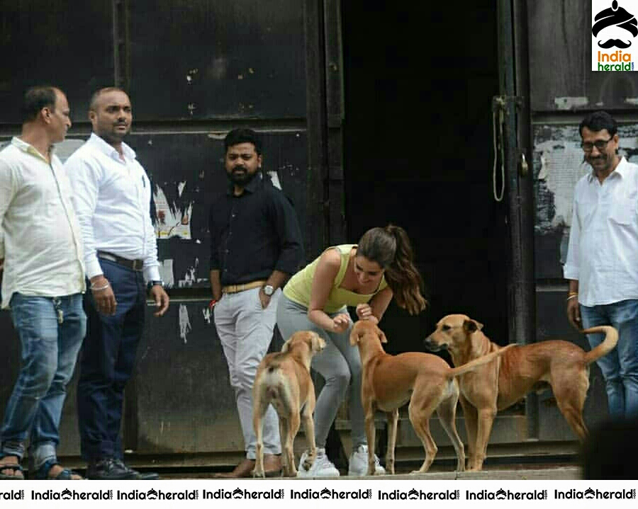 Shraddha Kapoor Playing With A Dog On The Streets Of Juhu