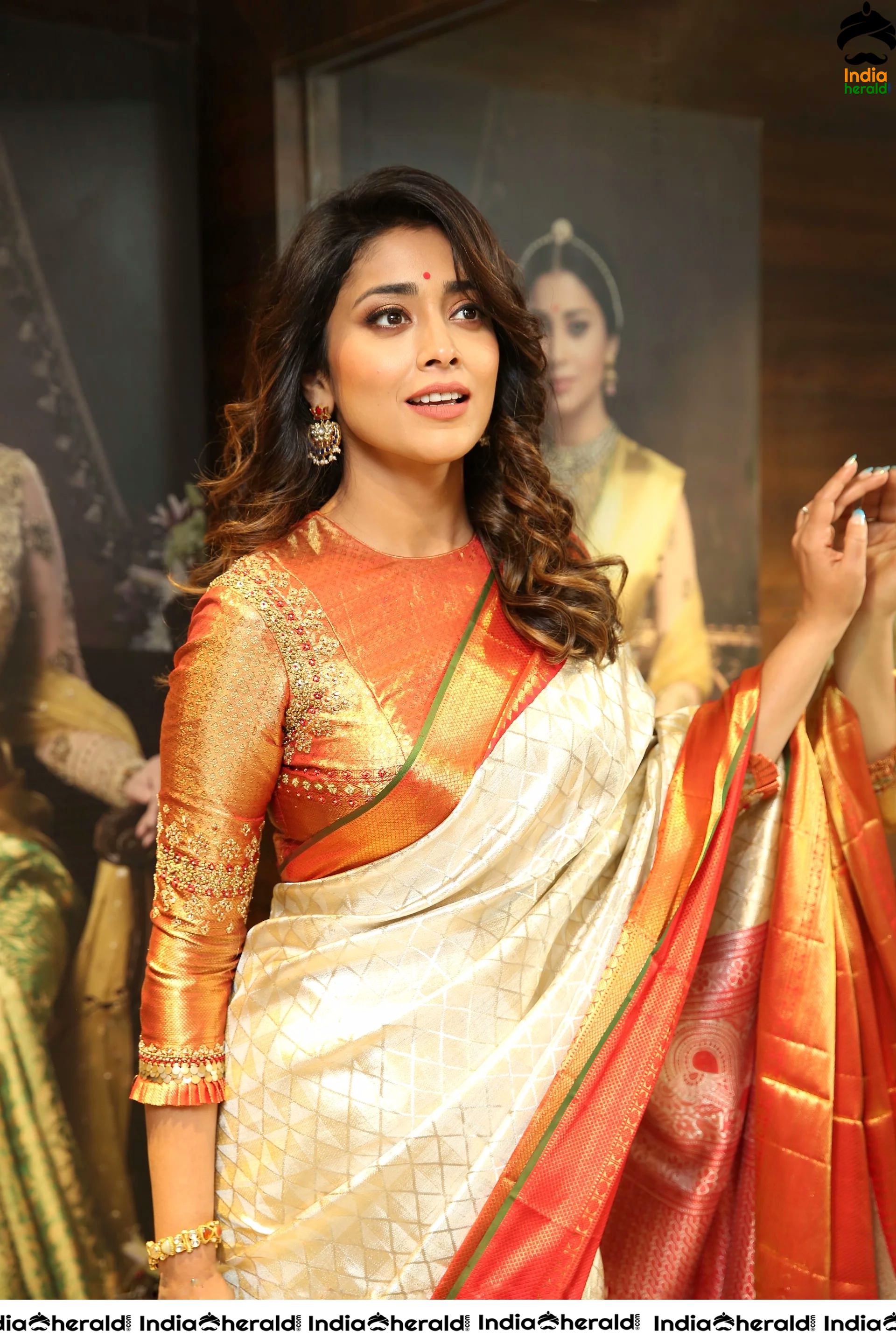 Shriya Saran in Traditional Avatar for Chandanagar VRK Silks Set 2