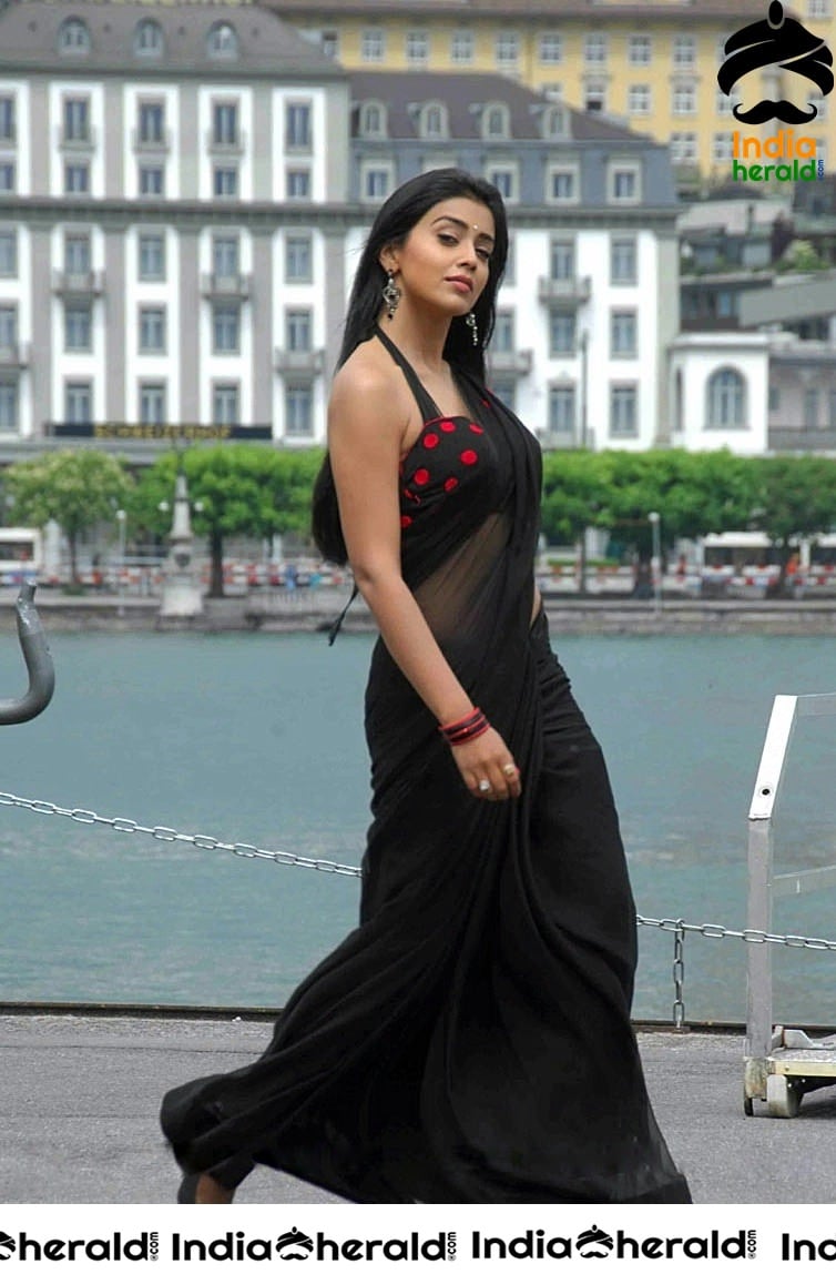 Shriya Saran Looking Super Sexy in Black Transparent Saree