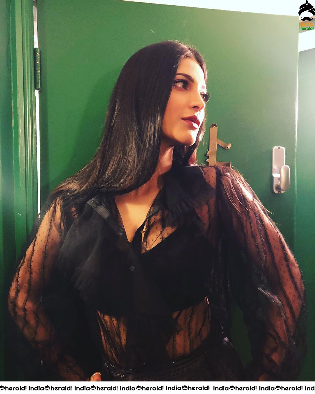 Shruti Haasan Latest Hot Photos Compilation Set 2