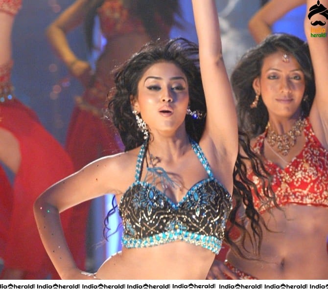 Sizzler Shriya Saran Hot Photos from Tulasi movie Set 2