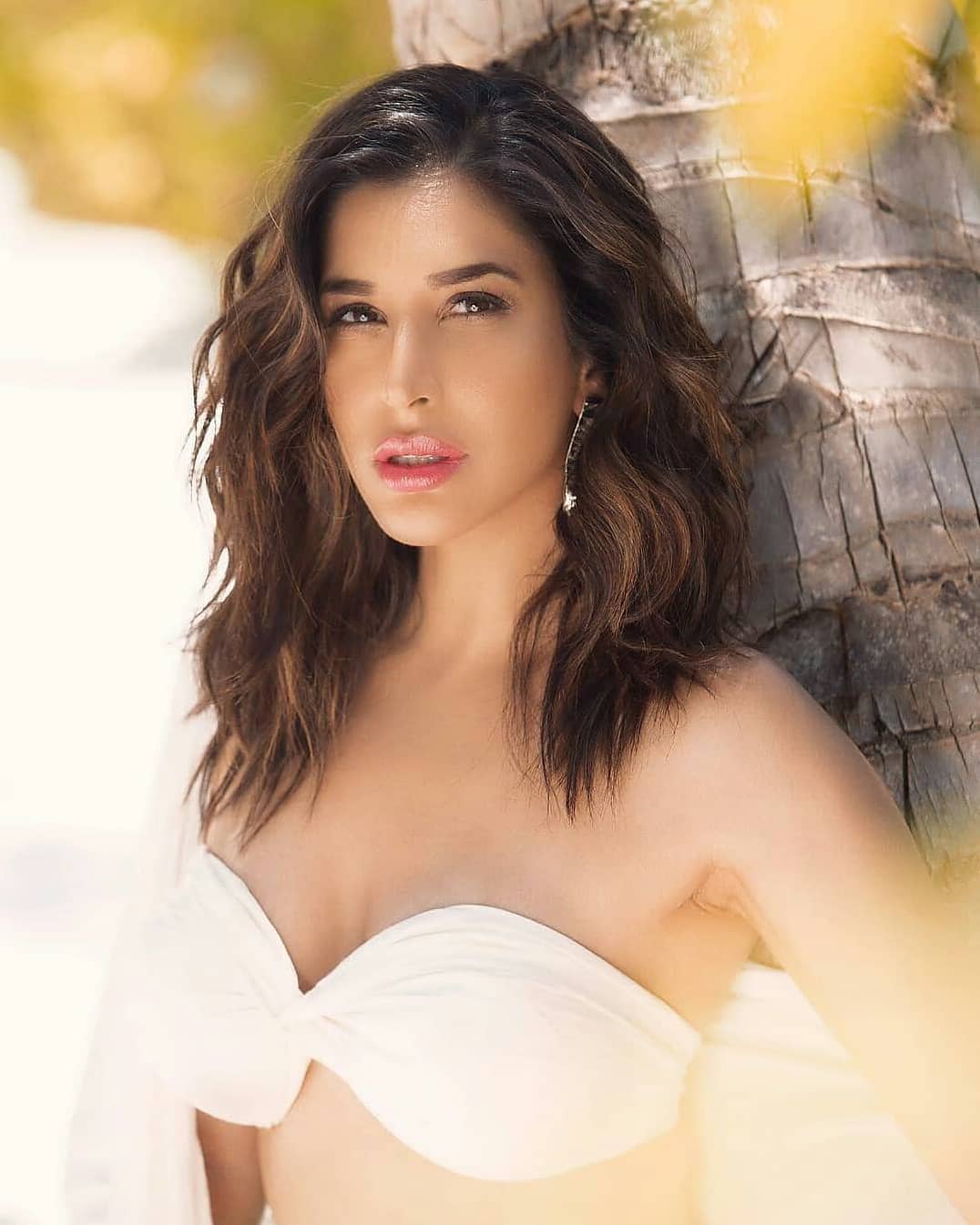 Sophie Choudry Hot Photos Collections