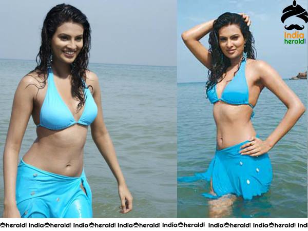 South Indian Actresses Hot In Bikini Photos Set 1