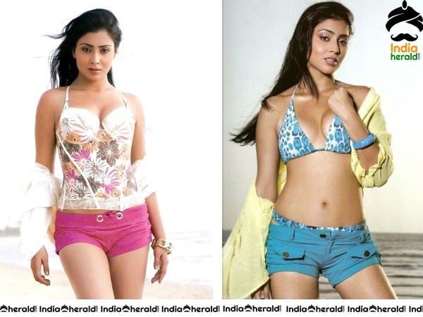 South Indian Actresses Hot In Bikini Photos Set 1