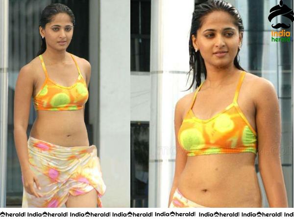 South Indian Actresses Hot In Bikini Photos Set 1