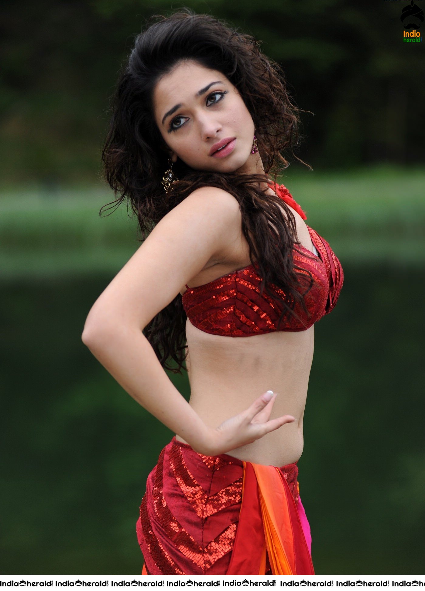 Tamannaah Exposing her Hot Milky Midriff and Navel Photos Compilation Set 2