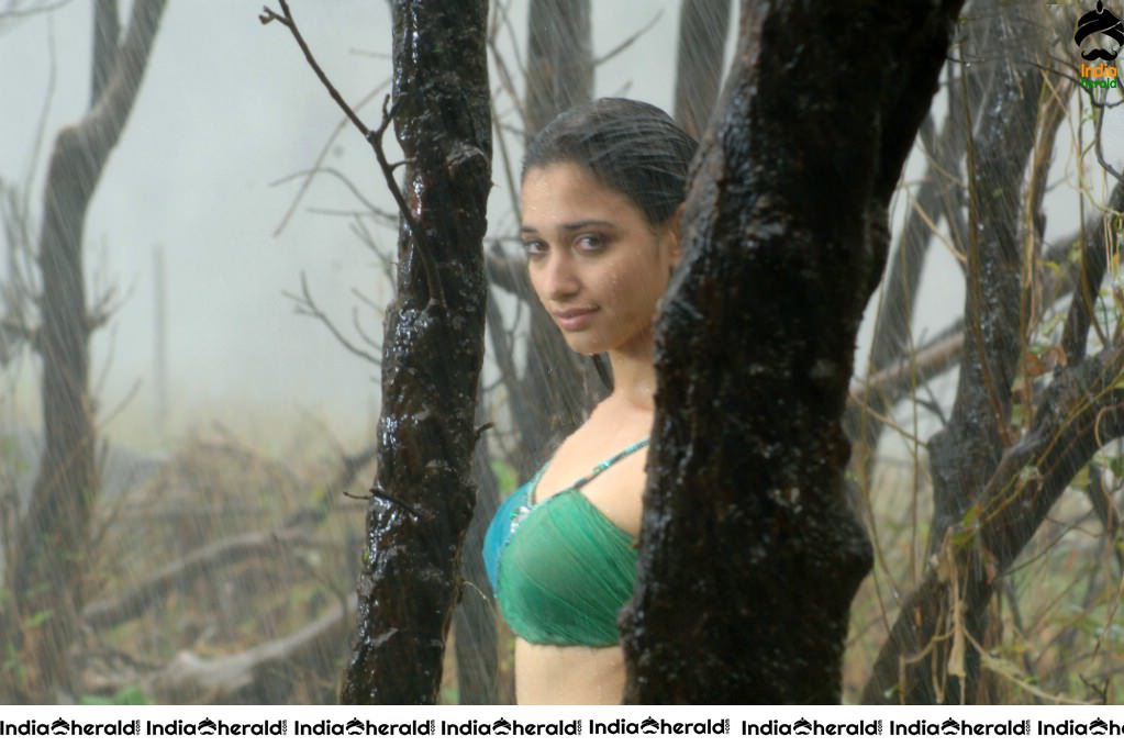 Tamannaah Hot Milky White Body Show by Getting Wet in the Rain Set 1