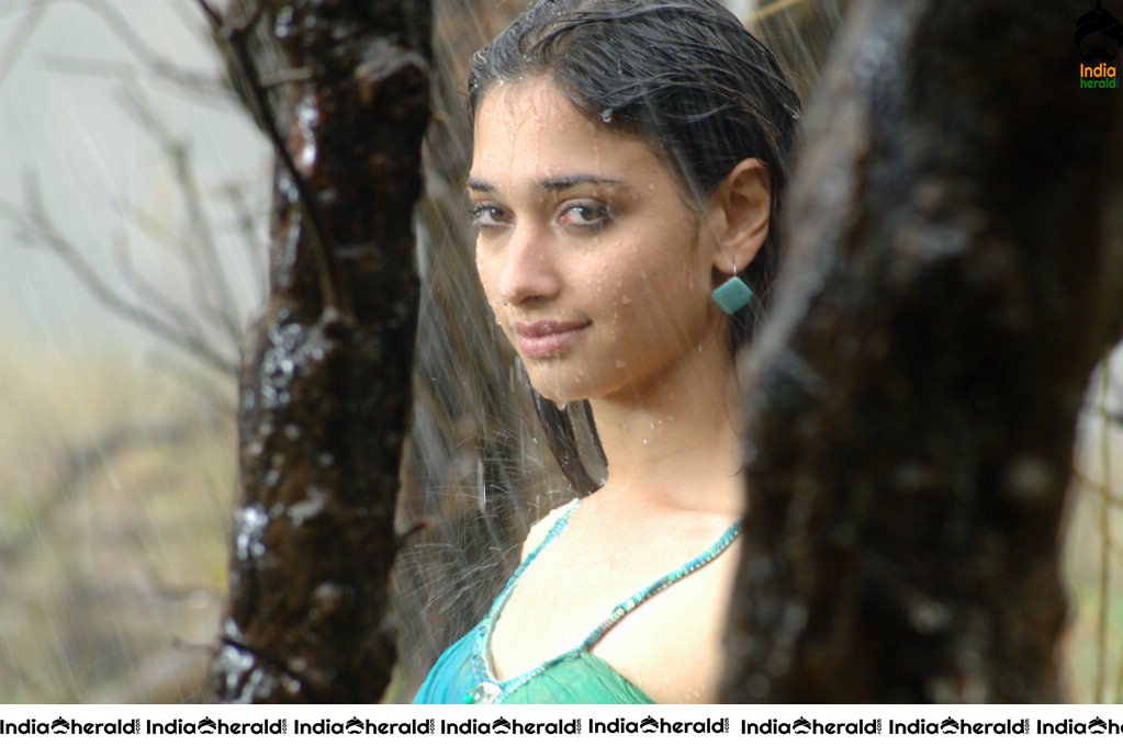 Tamannaah Hot Milky White Body Show by Getting Wet in the Rain Set 2