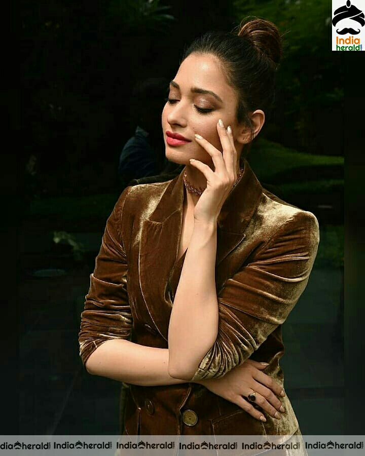 Tamannah Cute Brown Dress Stills