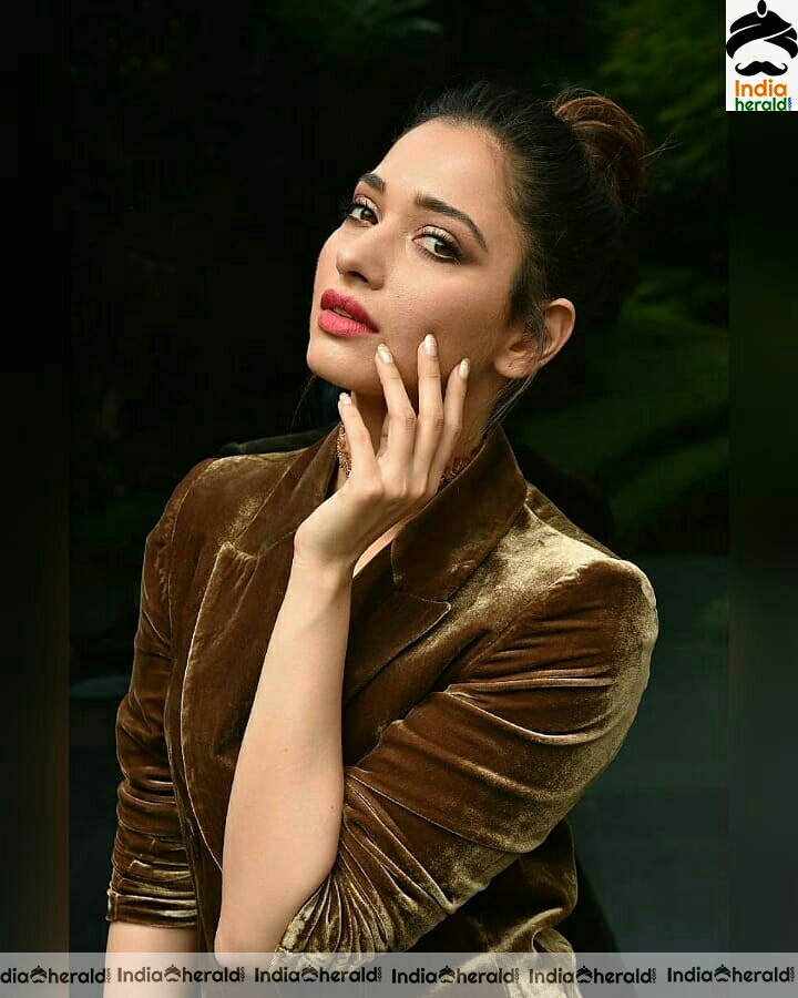 Tamannah Cute Brown Dress Stills