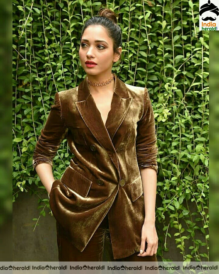 Tamannah Cute Brown Dress Stills