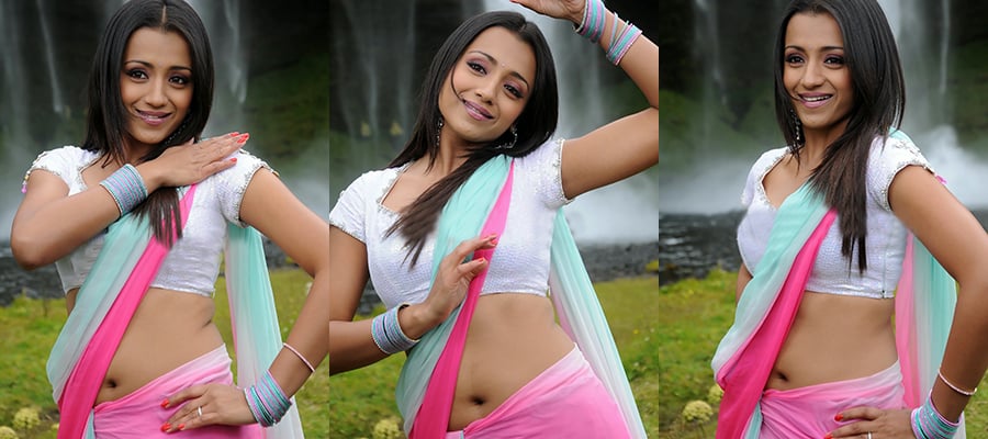 Trisha Flaunting her Hot Midriff and Navel in a Sexy Low Hip Saree