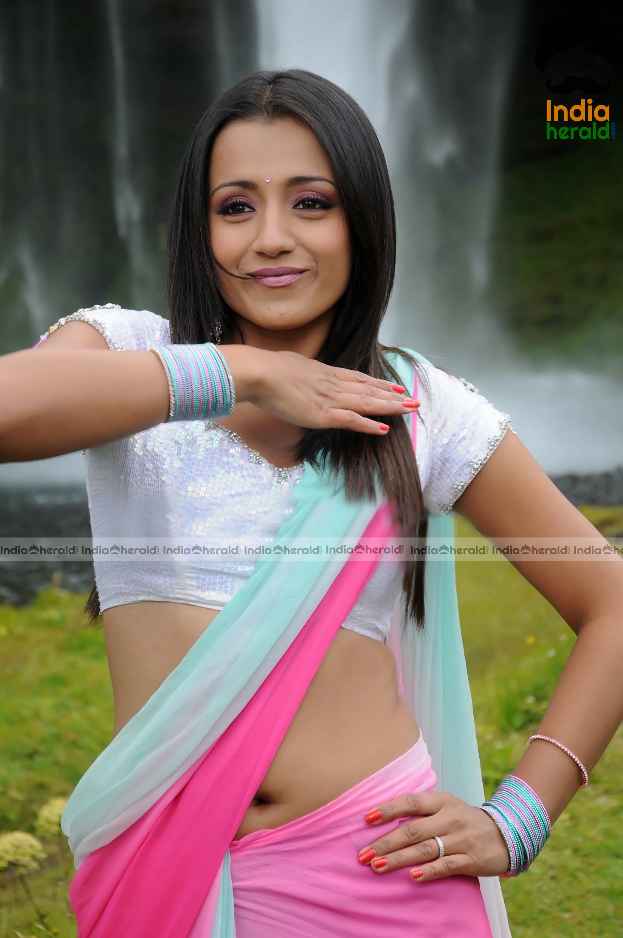 Trisha Flaunting her Hot Midriff and Navel in a Sexy Low Hip Saree