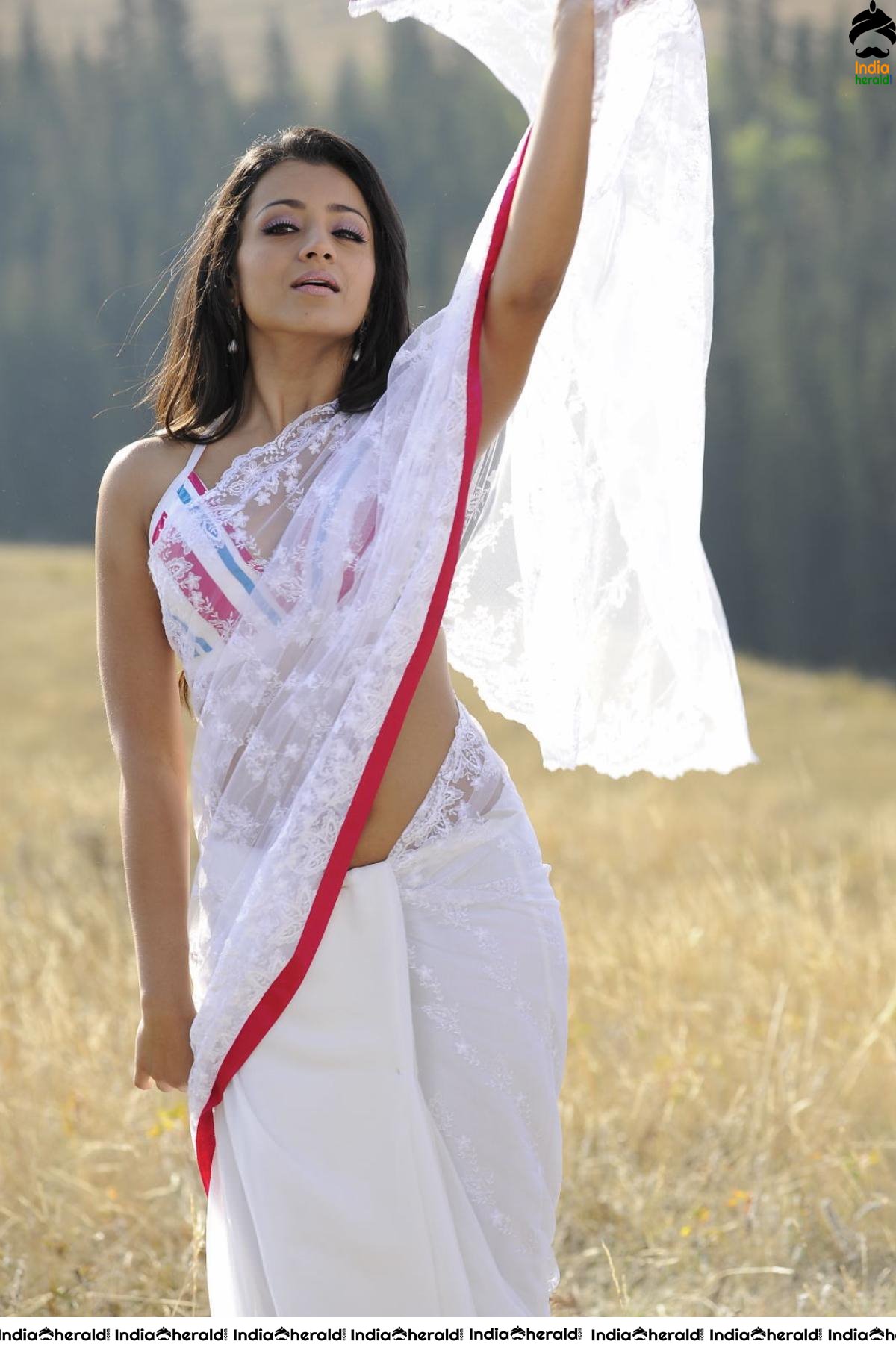 Trisha Hot Compilation Photos in Transparent Saree