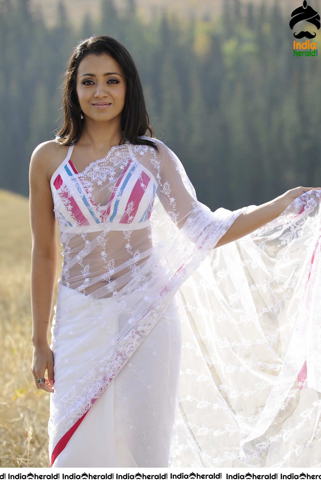 Trisha Hot Navel Show Photos in Transparent Saree