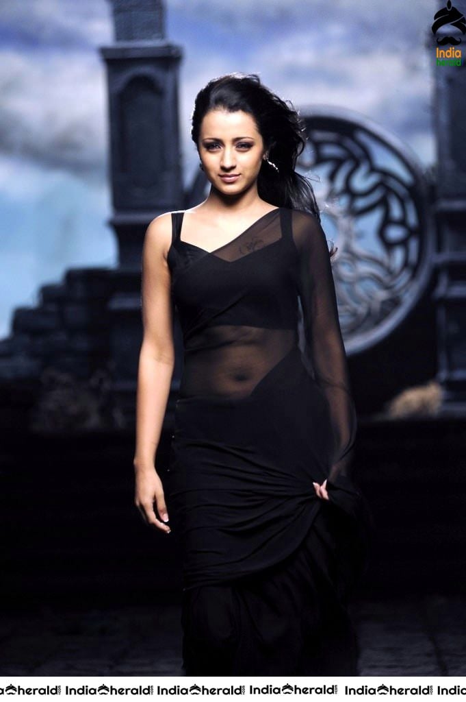 Trisha Hot Photos flaunting her Deep Navel in Saree and Sleeveless Blouse Set 1