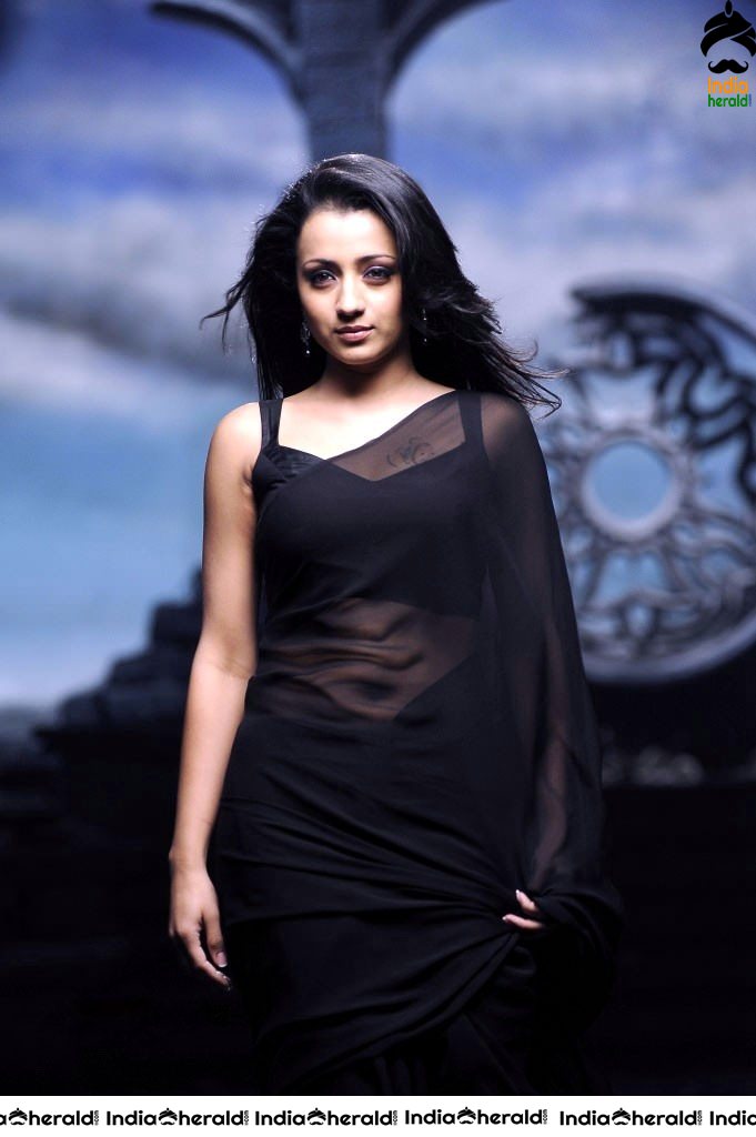 Trisha Hot Photos flaunting her Deep Navel in Saree and Sleeveless Blouse Set 1