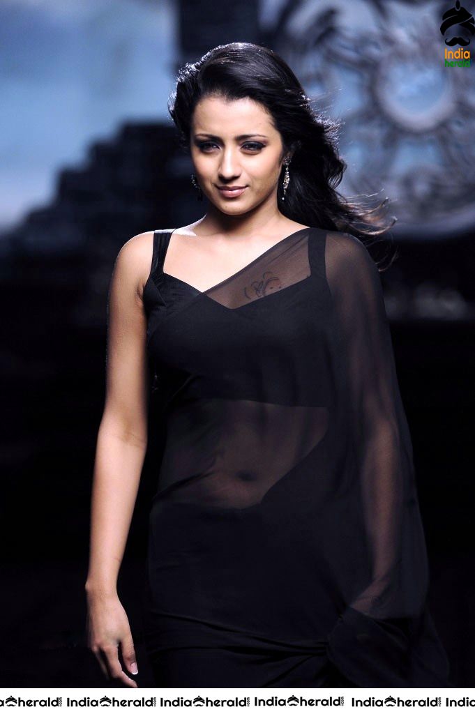 Trisha Hot Photos flaunting her Deep Navel in Saree and Sleeveless Blouse Set 1