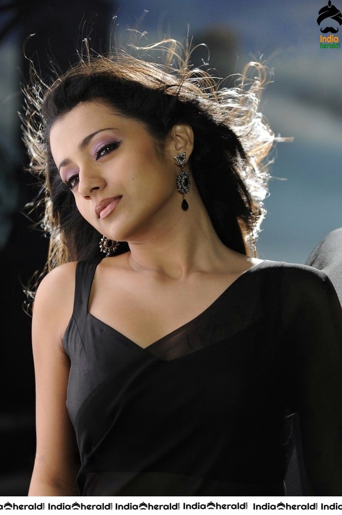 Trisha Hot Photos flaunting her Deep Navel in Saree and Sleeveless Blouse Set 1