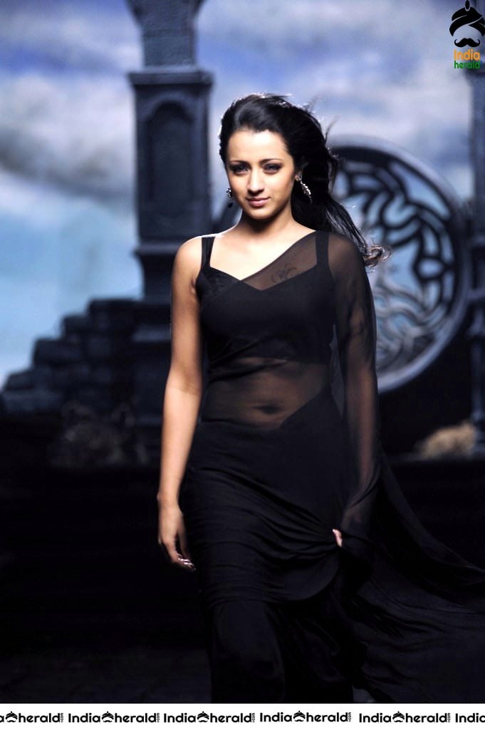 Trisha Hot Photos flaunting her Deep Navel in Saree and Sleeveless Blouse Set 2